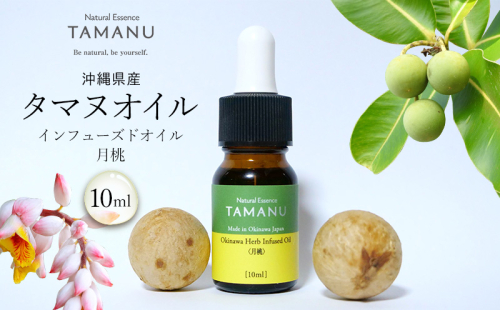 【美容オイル】沖縄県産タマヌインフューズドオイル（月桃） 10ml タマヌ TAMANU 天然成分 スキンケア 角質ケア 顔 美肌 保湿 化粧 日焼け 肌荒れ ツヤ マッサージ 美容 コスメ エッセンス 無添加 国産 沖縄県産 沖縄市 1515607 - 沖縄県沖縄市