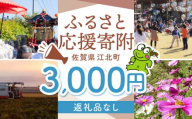 【返礼品なし】 佐賀県 江北町 ふるさと応援寄附金（3,000円分）【佐賀県江北町】 [HZZ015]