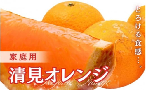 ＜2月より発送＞家庭用 清見オレンジ7.5kg+225g（傷み補償分）【光センサー食頃出荷】【樹上完熟きよみオレンジ・清見タンゴール・清美】【わけあり・訳あり】※北海道・沖縄・離島への配送不可【ikd200】 1516180 - 和歌山県北山村