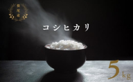 【年内発送】【 令和6年産 】 根尾産 コシヒカリ 5kg 有機肥料 米 こめ ごはん 白米 こしひかり 岐阜県産 本巣市 お米 精米 おにぎり 弁当 寿司 プレミア 希少 高級 おいしい 数量限定 アグリフレンド 2024年 年末 年内配送 年内お届け