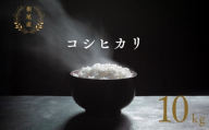 【年内発送】【 令和6年産 】 根尾産 コシヒカリ 10kg 有機肥料 米 こめ ごはん 白米 こしひかり 岐阜県産 本巣市 お米 精米 おにぎり 弁当 寿司 プレミア 希少 高級 おいしい 数量限定 アグリフレンド 2024年 年末 年内配送 年内お届け