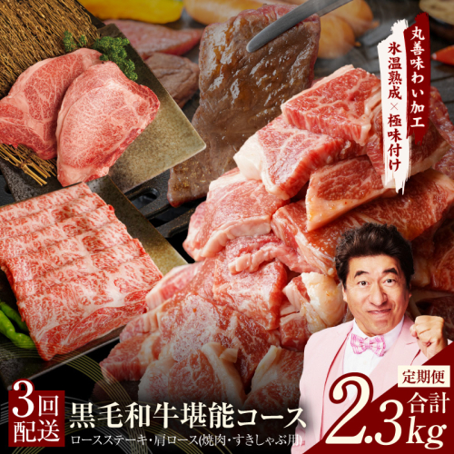 黒毛和牛 定期便 全3回 （ステーキ／すき焼き・しゃぶしゃぶ／焼肉）堪能コース 丸善味わい加工【毎月配送コース】 mrzZ003 1516373 - 大阪府泉佐野市