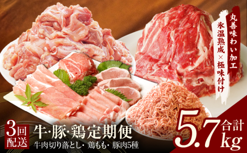 牛・豚・鶏 定期便 7種 総量5.7kg（牛肉切り落とし／カット済み 鶏もも／豚肉5種 食べ比べ）全3回 丸善味わい加工【毎月発送コース】 099Z243 1516377 - 大阪府泉佐野市