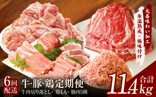 牛・豚・鶏 定期便 7種 総量11.4kg（牛肉切り落とし／カット済み 鶏もも／豚肉5種 食べ比べ）全6回 丸善味わい加工【毎月発送コース】 099Z244 1516378 - 大阪府泉佐野市