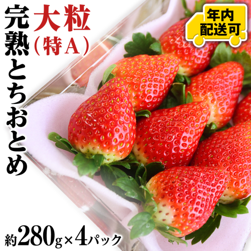 【12/15までの申込で年内にお届け！】完熟 とちおとめ 約280g×4パック 年内お届け 国産 いちご イチゴ 苺 果物 フルーツ 茨城県産 KEK[BC080sa] 1516503 - 茨城県桜川市