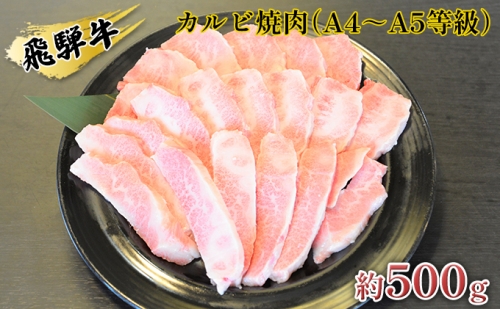飛騨牛カルビ焼肉（A4～A5等級）約500g（約250g×2パック） 151670 - 岐阜県安八町