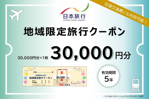 佐賀県佐賀市 日本旅行 地域限定旅行クーポン30,000円分：C100-036 1516787 - 佐賀県佐賀市