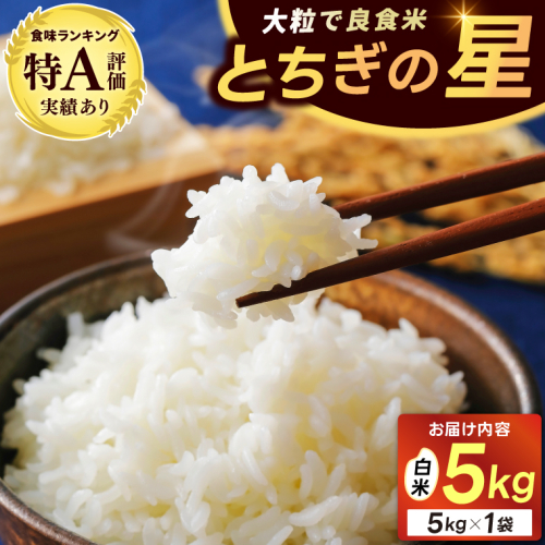 ★新米 令和7年産★ 米 5kg 白米 「とちぎの星」 山崎観光農園 栃木県 益子町 ふるさと納税 お米 とちぎの星 白米 精米 5キロ 令和7年産 (AU023) 1516799 - 栃木県益子町