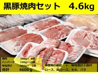 北海道　黒豚焼肉Bセット2.4kg・ハンバーグ10個・味噌漬け【C012-3-1】
