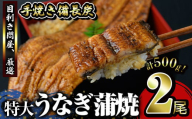 2739 うなぎ問屋の備長炭手焼 うなぎ蒲焼 特大2尾(500g)[うなぎ 国産 九州 鹿屋市 本格 鰻 ウナギ 蒲焼 冷凍 湯煎 レンジ 解凍 簡単調理 鰻丼 鰻重 ひつまぶし 魚 土用の丑]