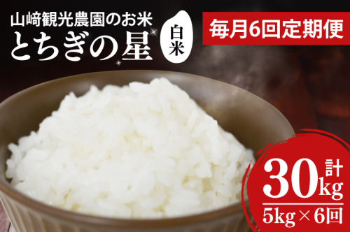 【全6回定期便】＜毎月＞ 山崎観光農園のお米 とちぎの星 白米 5kg（合計 30kg）単一原料米 100% ｜栃木県 益子町 ふるさと納税 お米 米 白米 精米 5kg 6ヵ月 令和7年産 定期便（AU036） 1516853 - 栃木県益子町