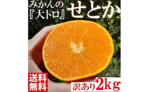 みかん の大トロ せとか 約2kg S～LLサイズ混合 訳あり ブランド 和歌山 有田 みかん 農家直送 オレンジ フルーツ 果物 1517347 - 和歌山県有田川町