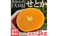 みかん の大トロ せとか 約2kg S～LLサイズ混合 訳あり ブランド 和歌山 有田 みかん 農家直送 オレンジ フルーツ 果物