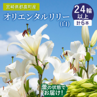 「オリエンタルリリー ユリ」(白) 計6本 生花 切花 百合 国産_T045-001