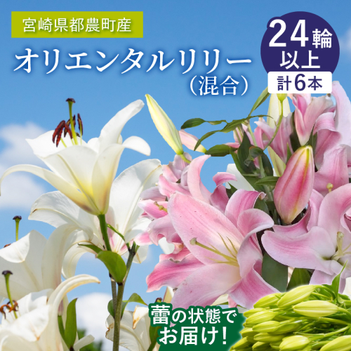 「オリエンタルリリー ユリ」(白＆ピンク) 計6本 生花 切花 百合 国産_T045-003 1517352 - 宮崎県都農町