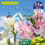 「オリエンタルリリー ユリ」(白＆ピンク) 計6本 生花 切花 百合 国産_T045-003