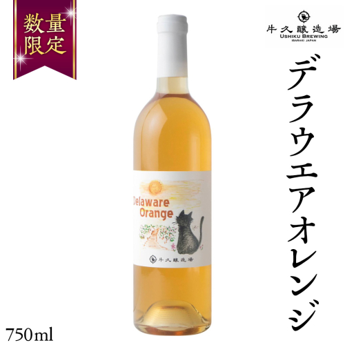 デラウエアオレンジ Delaware Orange 750ml×1本 茨城県産 牛久醸造場 日本ワイン ワイン 750ml ミディアムボディ お酒 贈り物 葡萄 ぶどう オレンジワイン 1517353 - 茨城県牛久市