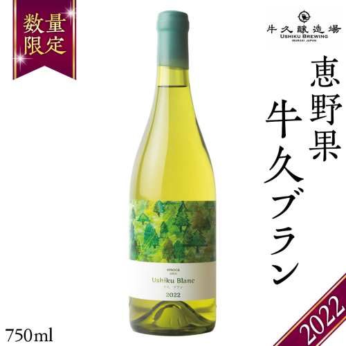 恵野果 牛久ブラン 2022 750ml×1本 茨城県産 牛久醸造場 日本ワイン ワイン 白ワイン 750ml ミディアムボディ お酒 贈り物 葡萄 ぶどう 1517481 - 茨城県牛久市