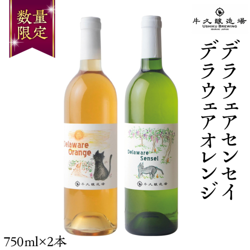 デラウェアセンセイ・デラウェアオレンジ の 750ml×2本セット 茨城県産 牛久醸造場 日本ワイン ワイン 白ワイン 750ml ミディアムボディ お酒 贈り物 葡萄 ぶどう オレンジワイン 1517485 - 茨城県牛久市