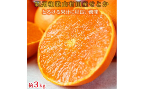 紀州有田産せとか約3kg　とろける食感！ジューシー柑橘［2026年2月下旬以降発送］［先行予約］［UT03］ 151757 - 和歌山県上富田町