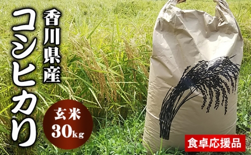 令和3年産コシヒカリ玄米30kg（食卓応援返礼品） 151760 - 香川県東かがわ市