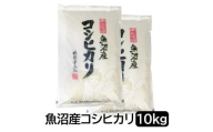 【令和6年産】お米マイスター厳選！魚沼産コシヒカリ10kg(５kg×２)