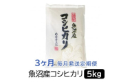 【令和6年産】お米マイスター厳選！魚沼産コシヒカリ５kg×３ヶ月毎月発送　定期便