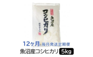 【令和6年産】お米マイスター厳選！魚沼産コシヒカリ５kg×12ヶ月毎月発送　定期便