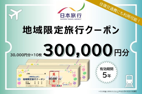 佐賀県佐賀市 日本旅行 地域限定旅行クーポン300,000円分：D100-004 1517854 - 佐賀県佐賀市