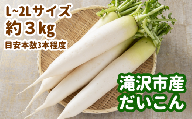 令和6年度産 滝沢市産だいこん L〜2Lサイズ 約3kg [滝沢産業開発] / 大根 根菜 野菜 セット