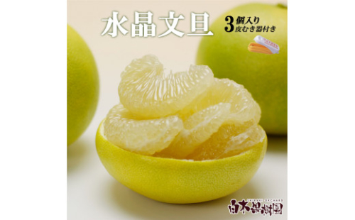 【先行予約】水晶文旦 柑橘皮むき器付き 約1.2kg Lサイズ （3個入り）〈2026年10月上旬～11月上旬頃発送〉  / 文旦 ブンタン ぶんたん 水晶文旦 果物 柑橘 フルーツ 秋 旬 故郷納税 ふるさとのうぜい 返礼品 高知県【白木果樹園】 [BQAI015] 1517906 - 高知県土佐市