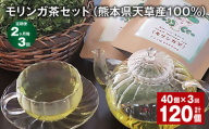 【2ヶ月毎3回定期便】モリンガ茶セット（熊本県天草産100%） 計120個（40個✕3回） ティーバッグ お茶 茶葉