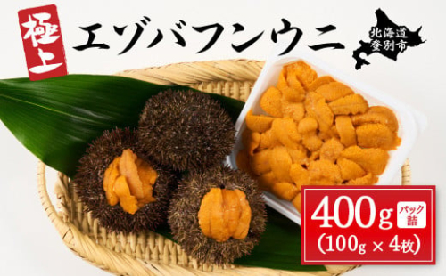 極上 エゾバフンウニ 400g（パック詰） 1518003 - 北海道登別市