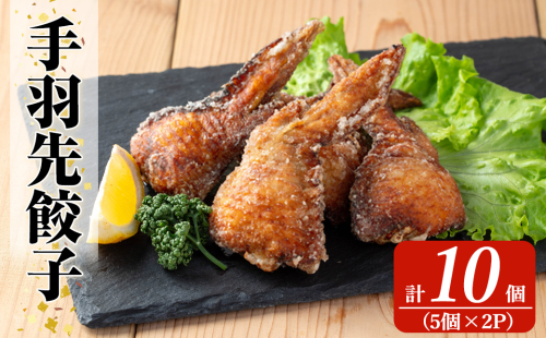 K-285-A 霧島高原純粋黒豚使用！奇跡の手羽先餃子(5個×2P 計10個)【MAGONIMO餃子】霧島市 餃子 ぎょうざ 手羽 生餃子 黒豚 豚 惣菜 総菜 時短 おかず 1518006 - 鹿児島県霧島市