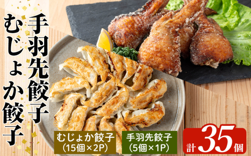 K-285-C 霧島高原純粋黒豚使用！餃子2種セット(手羽先餃子5個×1P・むじょか餃子15個×2P 計35個)【MAGONIMO餃子】霧島市 餃子 ぎょうざ 手羽 生餃子 黒豚 豚 惣菜 総菜 時短 おかず 1518012 - 鹿児島県霧島市