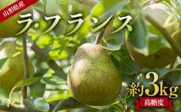味・香り に感動。フルーツの里、山形県産「ラ・フランス」！芳醇な香りと口の中でとろけるような果肉の触感が堪りません。やさしい濃厚な甘さと酸味を兼ね備えた至極の逸品を皆様の元へ心を込めてお届けいたします
