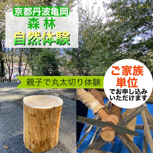 春休み 自然体験 親子で丸太切り体験 コースター・椅子製作体験（家族単位）体験 森林 日帰り ピクニック 京都 丹波 亀岡 1518122 - 京都府亀岡市