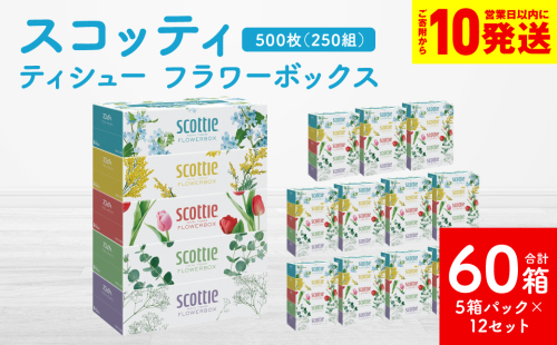 【スコッティ】 ティシュー フラワーボックス 250組 5箱パック×12 合計60箱 ティッシュ 日用品 生活必需品 1518138 - 熊本県八代市