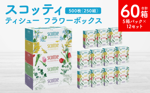 【スコッティ】 ティシュー フラワーボックス 250組 5箱パック×12 合計60箱 ティッシュ 日用品 生活必需品 1518138 - 熊本県八代市