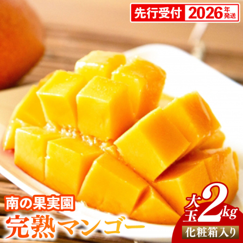 【化粧箱入】【先行受付・2026年発送】南の果実園 完熟マンゴー 大玉 2kg（4玉）〈贈答用化粧箱入り〉- 先行予約 沖縄県産 産地直送 アップルマンゴー 旬の味覚 季節の果物 贈り物 ギフト 沖縄県 八重瀬町 1518233 - 沖縄県八重瀬町