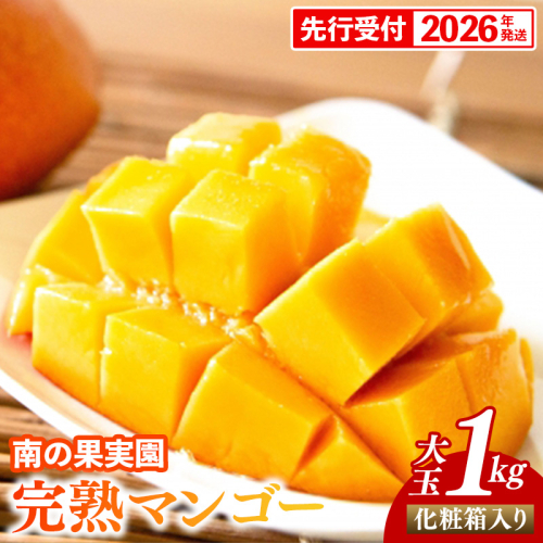【化粧箱入】【先行受付・2026年発送】南の果実園 完熟マンゴー 大玉 1kg（2玉）〈贈答用化粧箱入り〉- 先行予約 沖縄県産 産地直送 アップルマンゴー 旬の味覚 季節の果物 贈り物 ギフト 沖縄県 八重瀬町 1518235 - 沖縄県八重瀬町
