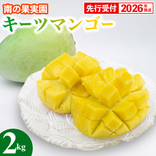 【先行受付】【2026年発送】南の果実園 キーツマンゴー 2kg（2～4玉）- 先行予約 沖縄 産地直送 南国フルーツ 旬の味覚 沖縄県産 国産マンゴー 希少種 季節の果物 沖縄県 八重瀬町 1518238 - 沖縄県八重瀬町