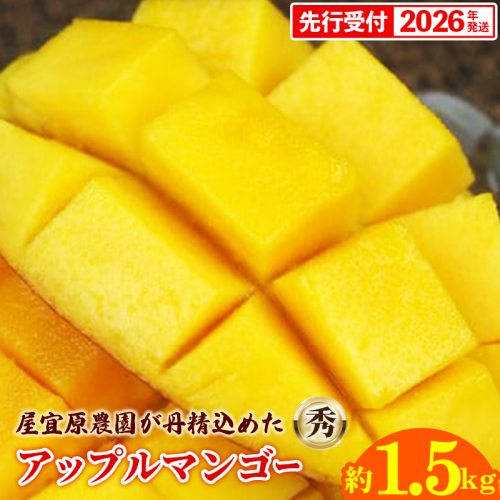 【先行受付】【2026年発送】屋宜原農園が丹精込めた「アップルマンゴー」秀約1.5kg - 先行予約 沖縄県産 産地直送 南国フルーツ 旬の味覚 季節の果物 贈り物 ギフト 沖縄県 八重瀬町 1518320 - 沖縄県八重瀬町
