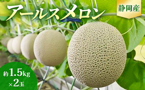 【2025年7月より順次発送】アールスメロン 2個 セット 約1.5kg×2個 静岡県浜松市産 メロン 2玉 果物 フルーツ 静岡 浜松市 三ヶ日 1518565 - 静岡県浜松市