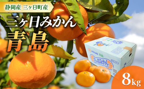 【2025年1月より順次発送】三ヶ日みかん【青島】8kg/箱 静岡県浜松市三ヶ日産 みかん ミカン 蜜柑 果物 フルーツ 柑橘 柑橘類 静岡 浜松市 三ヶ日 1518566 - 静岡県浜松市