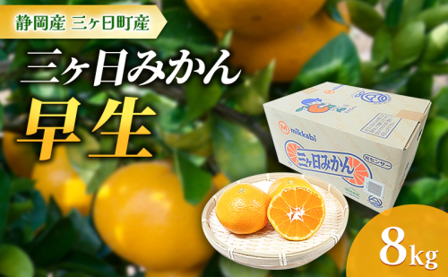 【2024年11月より順次発送】三ヶ日みかん【早生】8kg/箱 静岡県浜松市三ヶ日産 早生 みかん ミカン 蜜柑 果物 フルーツ 柑橘 柑橘類 静岡 浜松市 三ヶ日 1518567 - 静岡県浜松市