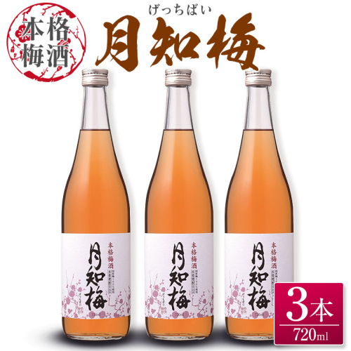 【雲海酒造】国産梅100%使用 本格梅酒「月知梅」720ml×3本 1518693 - 宮崎県綾町