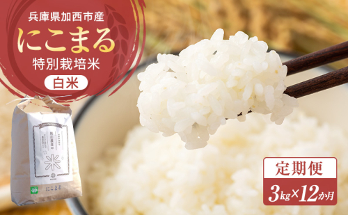 令和6年産 白米 3kg 定期便　12か月連続お届け 特別栽培米 にこまる 山田錦 米 お米 こめ コメ 特栽米 ひょうご安心ブランド ご飯 ごはん ゴハン 兵庫県 加西市 1518709 - 兵庫県加西市