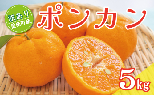 先行予約 訳あり ポンカン 5kg 7000円 ぽんかん みかん mikan 蜜柑 ミカン 家庭用 贈答用 産地直送 国産 農家直送 糖度 期間限定 数量限定 特産品 ゼリー ジュース アイス 人気 限定 甘い 果実 果肉 フルーツ 果物 柑橘 先行 事前 予約 受付 ビタミン 健康 美味しい おいしい ジューシー サイズ ミックス くらもとファーム 愛南町 愛媛県 1518972 - 愛媛県愛南町