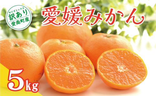 先行予約 訳あり 愛媛みかん 5kg 7000円 温州みかん こたつ みかん 温州 みかん mikan 蜜柑 愛媛 ミカン 完熟 家庭用 産地直送 国産 農家直送 糖度 期間限定 数量限定 特産品 ゼリー ジュース アイス 人気 限定 甘い 果実 果肉 フルーツ 果物 柑橘 先行 事前 予約 受付 ビタミン 健康 美味しい おいしい ジューシー サイズ ミックス くらもとファーム 愛南町 愛媛県 1519312 - 愛媛県愛南町